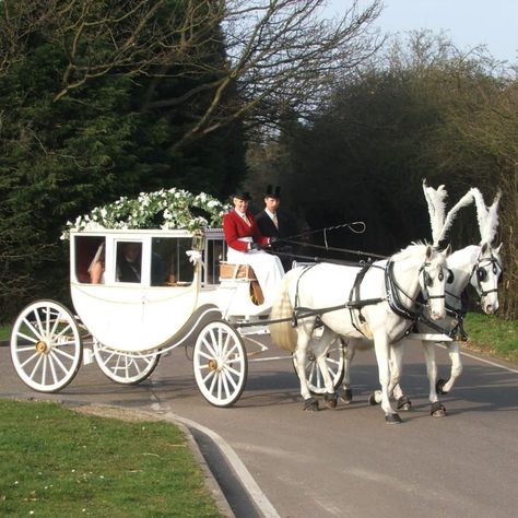 Horse And Carriage Wedding, Prom Car, Baby Blue Weddings, Horse Drawn Carriage, Wedding Carriage, Horse Wedding, Cinderella Carriage, Wedding Dr, Royal Aesthetic