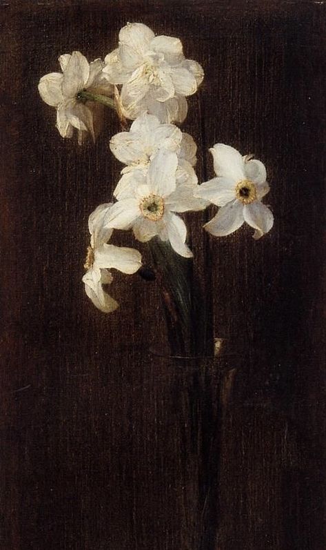 17th Century Paintings, Henri Fantin Latour, Narcissus Flower, Moody Art, Music Drawings, Floral Drawing, Oil Painting Reproductions, Aesthetic Painting, Painting Wallpaper