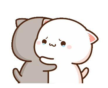 Cutie Cat-chan, Calin Gif, Mochi Cats, Hug Stickers, Mochi Cat, Mochi Peach Cat, Hug Gif, Peach And Goma, Peach Cat