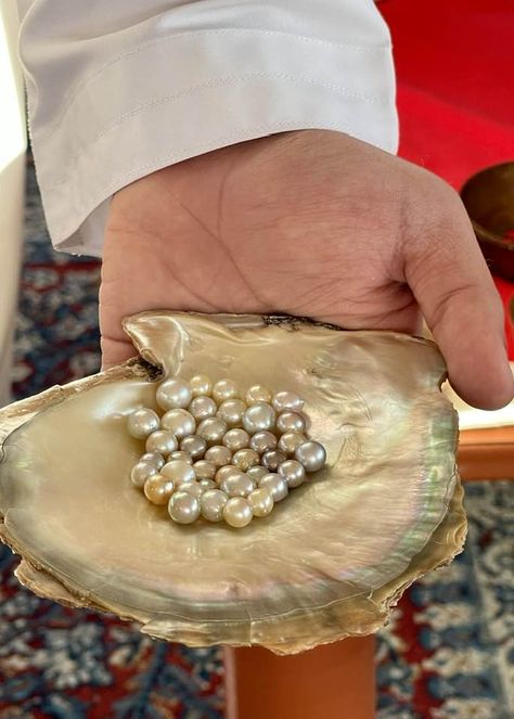 Visit the Suwaidi Pearls Farm in Ras Al Khaimah Ras Al Khaimah Aesthetic, Pearl Farm, Ras Al Khaimah, Going On Holiday, Zurich, A Holiday, Missoni, The Family, Natural Beauty