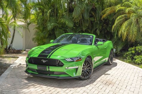 2019 Ford Mustang GT Convertible Review (Top Speed) New Tesla Roadster, Chevy Camaro Convertible, Ford Mustang Gt Convertible, Mustang Gt Convertible, Mustang 2018, My New Car, 2007 Ford Mustang, New Mustang, Camaro Convertible