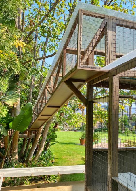 Cat Runs, Skyways, and Bridges - Custom Catios Luxury Catio Cats, Cat Skywalk, Catios Ideas For Cats, Cat Backyard, Custom Catios, Cat Balcony, Pet Patio, Cat Jungle Gym, Outdoor Cat Run