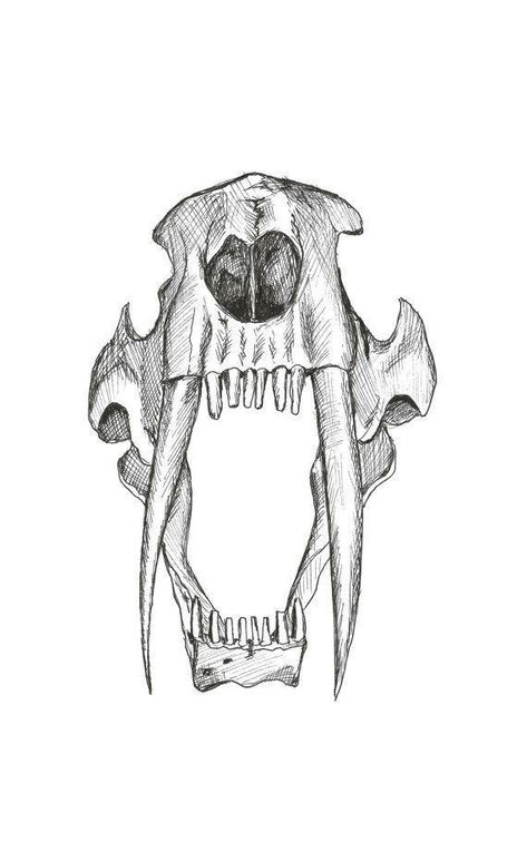 Saber Tooth Tiger Skull, Drawing Of People, Creature Tattoo, Saber Tooth Tiger, Watch Tattoo Design, Tiger Skull, Hawk Tattoo, Skull Art Tattoo, Demon Skull