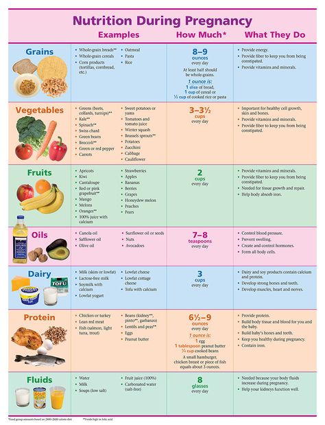 Nutrition During Pregnancy - Pamphlet - ETR Pregnant Healthy Food, Healthy Food During Pregnancy, Healthy Prenatal Meals, Yogurt For Pregnant Women, Nutrition For Pregnancy, Protein While Pregnant, Foods During Pregnancy, Third Trimester Diet Plan, Healthy Food Pregnancy