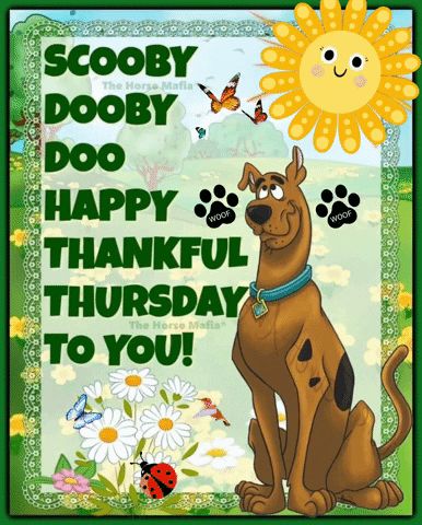 Good Thursday Morning GIF - Good thursday morning - Discover & Share GIFs Happy Thankful Thursday, Thursday Gif, Good Thursday Morning, Happy Thursday Morning, Good Morning Thursday Images, Good Morning Sister Quotes, Scooby Doo Pictures, Good Morning Happy Thursday, Scooby Doo Images