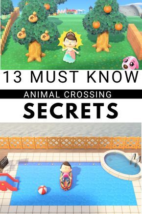 Acnh Tips, Animal Crossing 3ds, Animal Crossing Funny, Ac New Leaf, Animal Crossing Guide, Animal Crossing Wild World, Easy Animals, Acnh Ideas, Animal Crossing Villagers