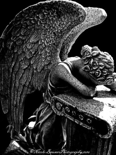 weeping angel Angel Wings Side View, Wings Side View, Beautiful Cemeteries, Cement Ideas, Weeping Angels, Side Pose, Cemetery Angels, Weeping Angel, I Believe In Angels