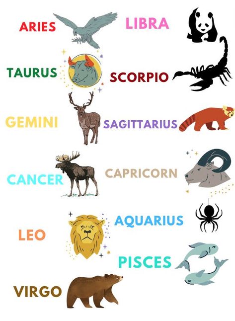 The spirit animals of the zodiac signs! Aquarius Animal Zodiac, Zodiac Sign As Animal, Spirit Animal Zodiac Signs, Zodiac Spirit Animals, Aquarius Spirit Animal, Zodiac Sign Animals, Aquarius Animal, Gemini Animal, Zodiac Signs As Animals