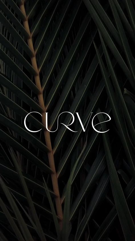 Curve offers logo & branding design services to help you create a memorable and effective brand identity for your Signature Logo Ideas, Pilates Logo, Business Fonts, Inspiration Logo Design, Elegant Logo Design, Luxury Branding Design, Logo And Branding, Luxury Logo Design, Logo Design Typography