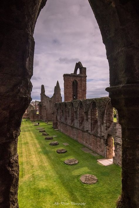 Arbroath Abbey, Arbroath, Angus on Scotland's east coast by Ally Deans Photography. Arbroath Scotland, Anstruther Scotland, Scottish Baronial Architecture, Abandoned Castles In Scotland, Abandoned Abbey, Scotland History, Orkney Islands, Beautiful Ruins, Abandoned Castles