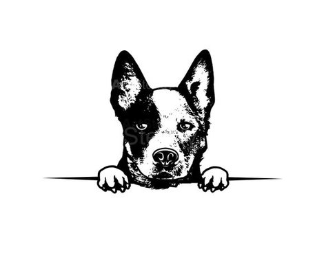 Cattle Dog Illustration, Cattle Dog Tattoo, Cattle Dog Drawing, Heeler Tattoo, Red Heeler Dog, Blue Heeler Puppies, Heeler Puppies, Dog Remedies, Dog Line Art