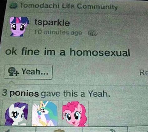 Fluffy Horse, Uni Student, Mlp Funny, Mlp Memes, My Lil Pony, Silly Images, Mlp My Little Pony, Silly Pictures, Twilight Sparkle