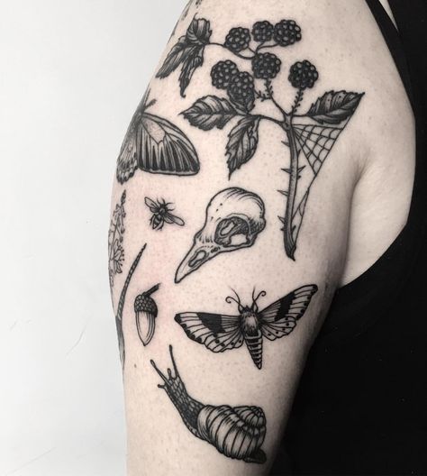 4,512 Likes, 22 Comments - Rebecca Dewinter (@rebeccadewinterttt) on Instagram: “Danielle's collection - mostly healed” Tattoo Sleeve Botanical, Natur Tattoo Arm, Botanisches Tattoo, Nature Tattoo Sleeve, Tattoo Nature, Bug Tattoo, Nature Tattoo, Tattoos Geometric, Tiny Tattoo