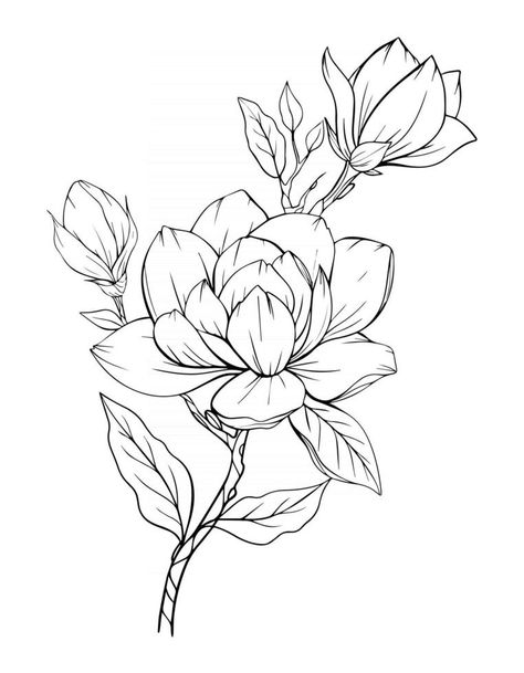 Lotus Flower Sketch, Flower Outline Tattoo, Lilies Drawing, Magnolia Tattoo, Flower Line Art, Flower Line Drawings, Flower Outline, Flower Art Drawing, Flower Sketches