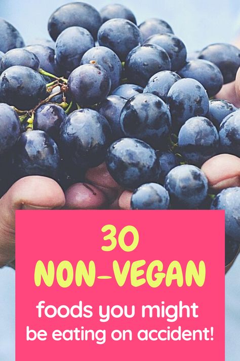 Going vegan involves a lot of trial and error. There are so many foods you might assume are vegan but aren't for one reason or another. Here are 30 non-vegan foods to watch out for at the grocery store! Accidentally Vegan Foods, Healthy Food Activities, Vegan Lifestyle Inspiration, Reasons To Be Vegan, Vegan Food List, Famous Vegans, Healthy Pregnancy Food, Grocery Store Items, Vegan Grocery List