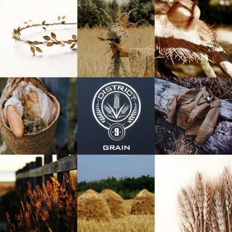 Hunger Games aesthetics by Nastia Vogneserd/Melody Midway Hunger Games District 9 Aesthetic, District 9 Hunger Games Aesthetic, District 8 Hunger Games Aesthetic, District 9 Aesthetic, District 2 Aesthetic, District 9 Hunger Games, Hanger Game, Dystopian Movies, Districts Of Panem