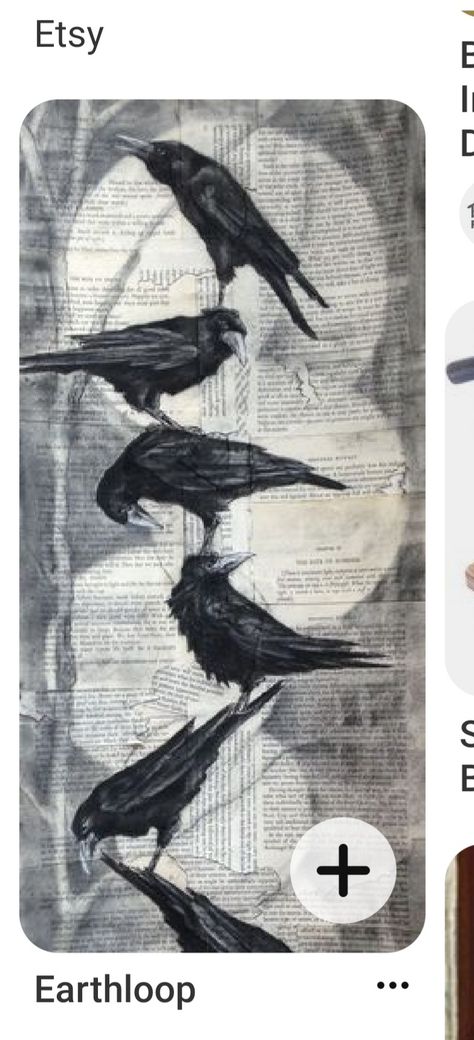 The Crow Wallpaper Iphone, Crow Wallpapers, Six Of Crows Aesthetic, Crows Aesthetic, Drawing Backgrounds, Cool Birds, Charcoal Painting, Art Folio, Raven Bird