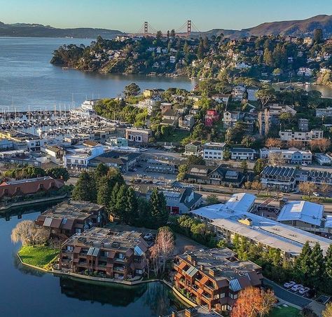 San Francisco ��❤️ California 🇺🇸 on Instagram: "Morning view from Tiburon ☀️ Credit by @thurber_shots #sanfrancisco #california #goldengate #sfgate #bridge #goldengatebridge #bayarea…" Tiburon California, Lombard Street, Morning View, Visit California, Denver Colorado, Bay Bridge, Golden Gate, Golden Gate Bridge, Bay Area