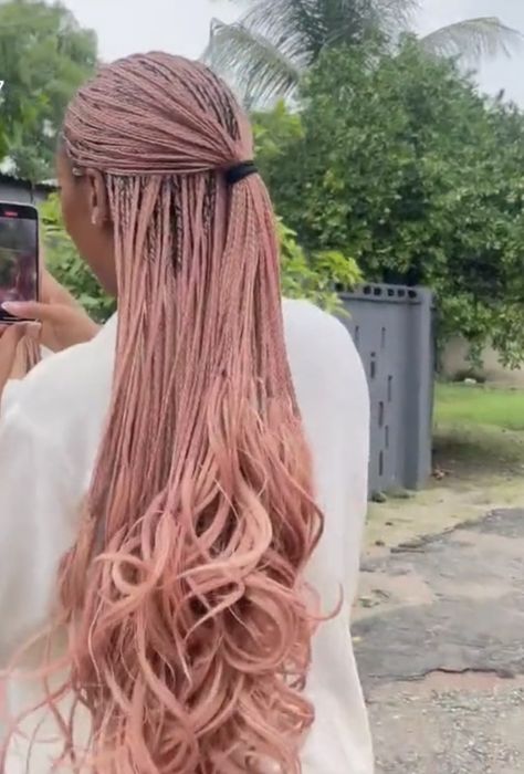 Rose Gold French Curl Braids, Pink Braids Aesthetic, Braided Pink Hair, Pastel Pink Box Braids, Peach Box Braids, Pink Curly Braids, Colour Box Braids, Long Layered Braids, Pink Blonde Braids