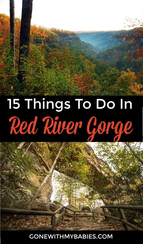 Red River Gorge Kentucky Kayaking, Red River Gorge Kentucky Hiking, Kentucky Things To Do, Things To Do In Kentucky, Kentucky Hiking, Travel Kentucky, Kentucky Camping, Red River Gorge Kentucky, Camping Hack