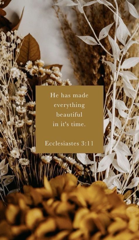 Lockscreen Christian, Ecclesiastes 3 11, The Human Heart, Christian Quotes Wallpaper, Bible Verse Background, Trust In God, Faith Scripture, Bible Quotes Wallpaper, Ayat Alkitab