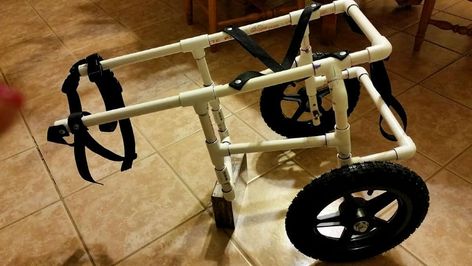 9 Best DIY Dog Wheelchair Plans For Disabled Dogs Diy Dog Wheelchair, Diy Cat Shelves, Build A Dog House, Dog Wheelchair, Dog House Plans, Diy Cat Tree, Disabled Dog, Cat Furniture Diy, Diy Dog