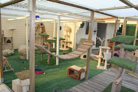 Cat Patios Cat Patios, Cat Jungle Gym, Catio Ideas, Katt Diy, Cat Playground Outdoor, Katt Grejer, Kat Diy, Cat Patio, Cat Hotel