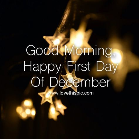 Mini Yellow Star Lights - Good Morning First Day Of December quotes stars good morning december december quotes star lights happy december first day of december happy first day of december happy first day of december wishes good morning happy first day of december 1st Of December Quotes, December 1st Quotes, Hugs Pictures, Strong Pictures, Morning Verses, Sunshine Pictures, Hug Pictures, Blessed Morning Quotes, Blessed Morning