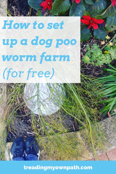 How To Set Up A Dog Poo Worm Farm by Treading My Own Path | Zero Waste + Plastic-Free Living | Less waste, less stuff, sustainable living. Zero waste pets, how to avoid plastic dog poo bags, reducing waste, eco-friendly choices, ditch single-use plastic, planet or plastic, reduce trash, ban the bag, plastic-free pets, zero waste dogs, pet poo composting, ensopet, eco-friendly pets. More at https://treadingmyownpath.com Dog Waste Composter, Dog Waste Disposal, Making Compost, Best Compost Bin, Eco Friendly Pet Products, Compost Bin Diy, Diy Compost, Dog Poo, Dog Poo Bags