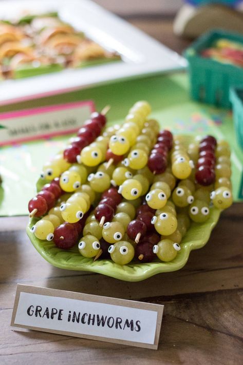 Snail Themed Food, Animal Vegetable Tray, Koala Food Ideas, Woodland Animals Food Ideas, Animal Themed Party Snacks, Woodland Theme Appetizers, Party Animal Theme Food, Wild Animal Birthday Party Jungle Theme Food Ideas, Safari Snack Ideas