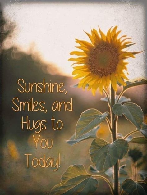 Sunny Day Quotes, Good Morning Sister, Thinking Of You Quotes, Hug Quotes, Afternoon Quotes, Good Morning Sunshine Quotes, Sunshine Quotes, Good Morning Flowers Quotes, Morning Quotes Funny