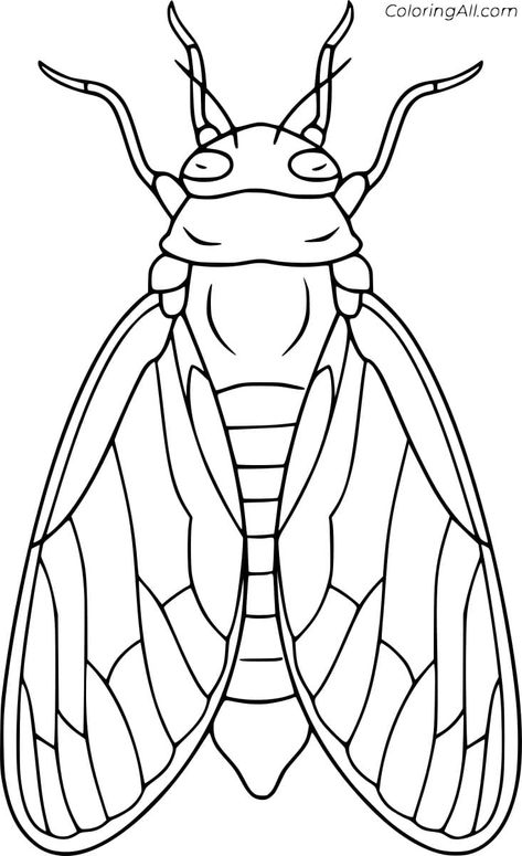 Cicada Drawing Illustration, Cicada Stained Glass Pattern, Insect Coloring Pages Free Printable, Cicada Drawing, Insect Drawing, Cicada Art, Bug Coloring Pages, Pop Art Coloring Pages, Insect Coloring Pages