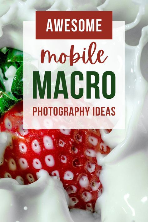 Mobile macro photography is a popular trend among photographers and it is not just limited to professional photographers. Learn to capture stunning macro photography on your smartphone Macro Photography Tips, Macro Photography Tutorial, Photography Training, Train Photography, Smartphone Photography, Photography Tips And Tricks, Small Objects, Mobile Photography, Dslr Camera