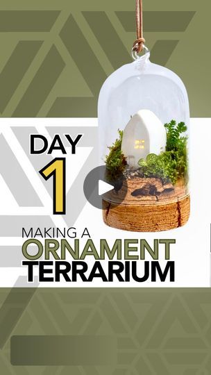 Terrarium Tutorial, Plants Terrarium, Terrarium Moss, Plant Covers, Terrarium Plants, Christmas Decorations Ornaments, Merry Little Christmas, Christmas Projects, Frogs