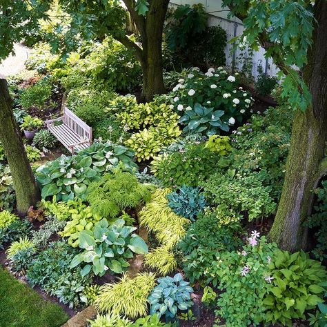 Shade Garden Design, Townhouse Garden, Shade Garden Plants, Garden Wallpaper, Woodland Garden, Shade Plants, Garden Cottage, Shade Garden, Front Garden