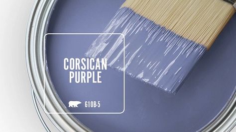 CORSICAN PURPLE 610B-5 | Behr Paint Colors Fairytale House Interior, Behr Blue, Lakeview House, Hunt House, Behr Paint Colors, Blue Gray Paint, Paint Color Inspiration, Behr Paint, Favorite Paint Colors