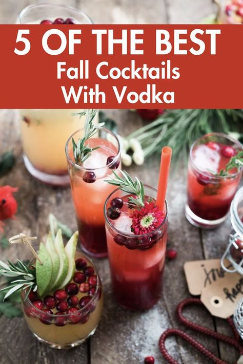 These are simply the best fall cocktails with vodka I have ever tried! They are so simple and delicious you will love every single recipe. Fall Cocktails Vodka, Cocktails With Vodka, Vodka Cranberry Cocktail, Best Vodka Cocktails, Fall Cocktail Recipes, Cocktails Made With Vodka, Vodka Cocktails Easy, Cranberry Vodka, Fall Cocktails Recipes