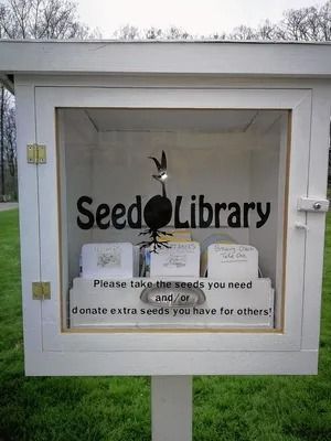 Little Seed Library sows hope for growth in Gahanna Free Seed Library, Seed Library Ideas, Seed Library, Library Cabinet, Seed Vault, Raising Bees, Staff Directory, How To Make Salsa, Book Exchange