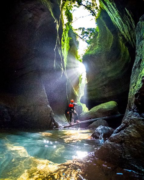 The Caribbean island of Dominica: 11 facts that will surprise you Dominica Island Caribbean, Dominica Tattoo, Dominica Travel, Dominica Caribbean, Dream Paintings, Dominica Island, Family Experiences, River Tubing, Travel America