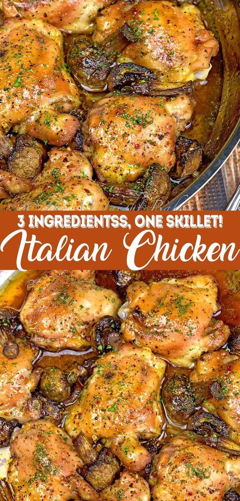 3 Ingredient Italian Chicken Recipe made in one skillet is the perfect family dinner recipe to make on busy weeknights. This chicken dinner is perfect for the whole family and everyone will love it. Italian Chicken Recipes, One Skillet, Favorite Recipes Dinner, Italian Chicken, Family Dinner Recipes, Chicken Dishes Recipes, Family Dinners, 3 Ingredient, Chicken Dinner Recipes