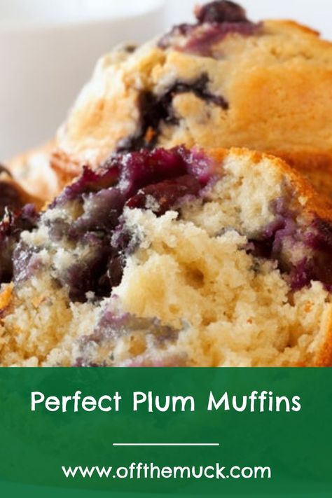 Plum Recipes Healthy Breakfast, Banana Plum Muffins, Plum Muffins Healthy, Healthy Plum Dessert, Plum Muffins Recipe, Recipes With Plums, Plum Recipes Healthy, Plums Recipes Dessert, Plum Recipes Cake