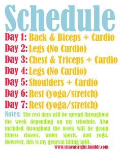 Cardio Workout Plan, Ladder Workout, Lifting Workouts, Workout Calendar, Ju Jitsu, Cardio Training, Workout Schedule, Weekly Workout, Weight Training