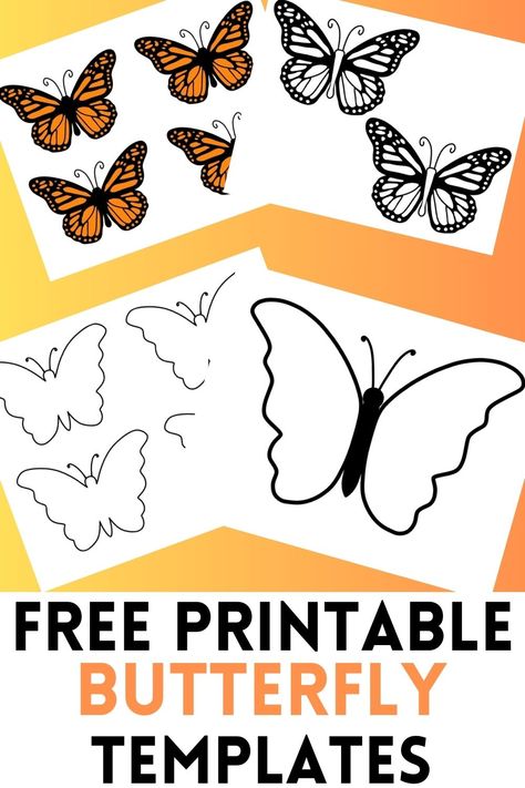 butterfly templates in three different sizes with monarch butterflies, butterfly outlines, and simple butterflies. Butterfly Patterns Printable Templates, Butterfly Template Free Printable, Butterfly Body Template, Build A Butterfly Printable, Large Butterfly Printable, Blank Butterfly Templates, Butterfly Shapes Template, Butterfly Lamp, Butterfly Party Decorations