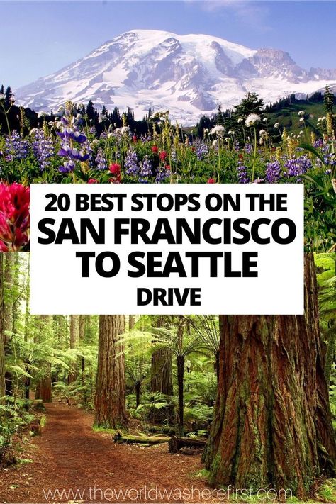 Seattle Road Trip, San Francisco Road Trip, Pacific Coast Road Trip, West Coast Travel, Road Trip Map, Road Trip Places, East Coast Road Trip, West Coast Road Trip, Travel Route