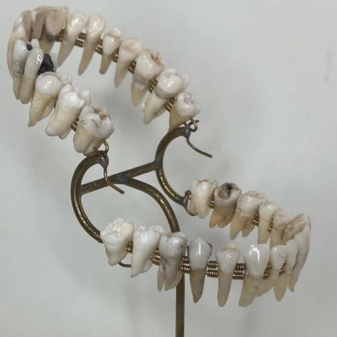 Human Teeth Reference, Jewelry Made From Teeth, Missing Tooth Aesthetic, Messed Up Teeth, Tooth Sculpture, Teeth Photography, Clay Teeth, Wisdom Tooth, Teeth Art