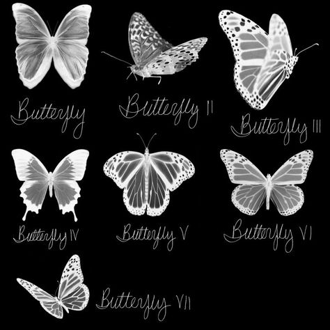 Free Brushes For Procreate, Butterfly Tile, Procreate Downloads, Procreate Brushes Download, Free Procreate Brushes, Brush Effect, Brush Tattoo, Procreate Ipad Tutorials, Best Procreate Brushes