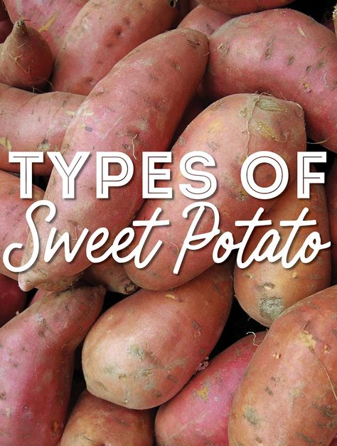 Sweet potatoes are a staple ingredient used for roasting, making fries, or mashing. There are numerous different types of sweet potatoes that we're covering in-depth in this helpful guide to sweet potato varieties. Types Of Sweet Potatoes, Sweet Potato Varieties, Sweet Potato Leaves, Sweet Potato Smoothie, Sweet Potato Benefits, Sweet Potato Cookies, Potato Varieties, Types Of Potatoes, Japanese Sweet Potato