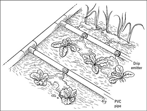 You can water your vegetable garden several different ways. Basic watering techniques for vegetable gardens include creating simple furrows and basins. Watering systems involve sprinklers, regular hoses, or soaker hoses. The most complicated way to water plants is to install a drip system. Furrows: Furrows are shallow trenches between raised beds that channel water to … Irrigation Drawing, Water Vegetables, Garden Soil Preparation, Water Irrigation System, Gardening For Dummies, Permaculture Garden, Garden Watering System, Can Water, Water Barrel