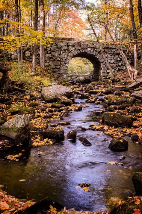 Photography Random, Stone Bridges, Fall Scenery, Old Bridges, Wonderful Nature, Abandoned Castles, Sony A7, Stone Bridge, Garden Pictures