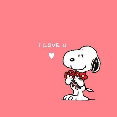 Love You Snoopy, I Love You Snoopy, Snoopy Love You, Snoopy Love Quotes, Snoopy Quotes Love, Snoopy I Love You, Funny Snoopy, Snoopy Hug, Noot Noot